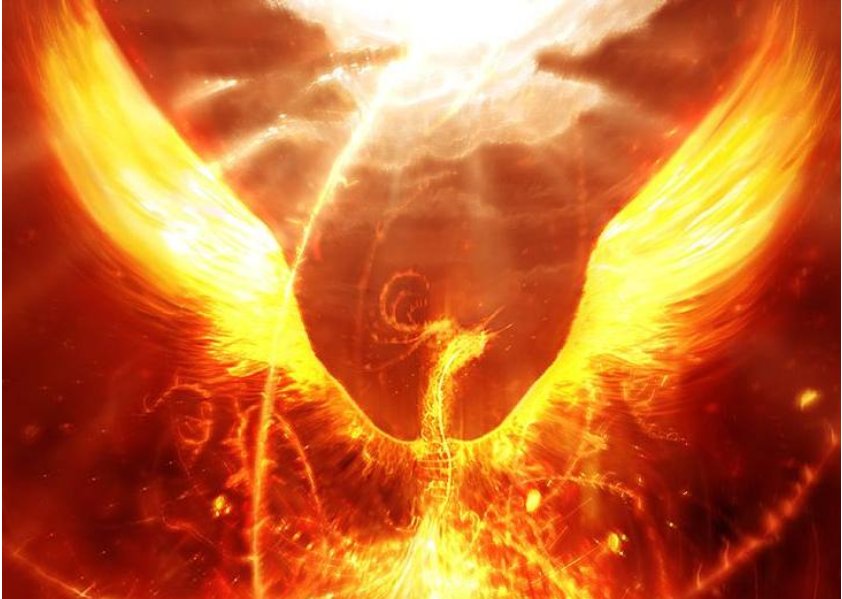 yp街机·电子游戏(中国)官方网站